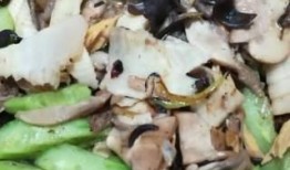 娱乐吃瓜菌,吃瓜菌带你探秘明星幕后故事