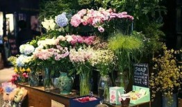 娱乐吃瓜酱花店,吃瓜酱花店背后的秘密花园