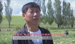 娱乐吃瓜老王是谁的小说,揭秘娱乐圈幕后风云