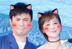 娱乐圈明星互相吃瓜