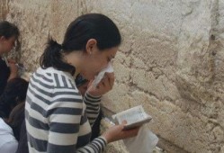 娱乐吃瓜君励志,从吃瓜达人到励志偶像的蜕变之路