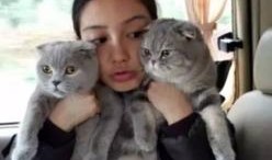 娱乐吃瓜酱小众宠物,娱乐吃瓜酱带你领略独特宠物风采