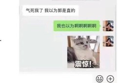 娱乐圈吃瓜年底冲业绩,吃瓜狂欢，明星业绩大揭秘！