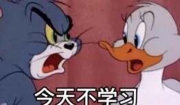 娱乐吃瓜酱学不进去了,学不进去了，揭秘学习困境背后的娱乐诱惑