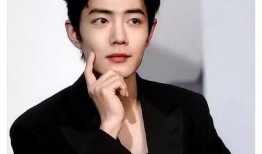 娱乐吃瓜王一博肖战,娱乐圈的甜蜜瓜田，揭秘兄弟情深背后的故事