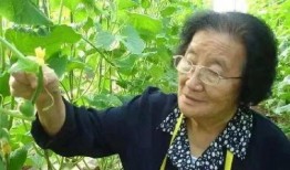 娱乐吃瓜酱北方人,揭秘北方人的独特生活韵味