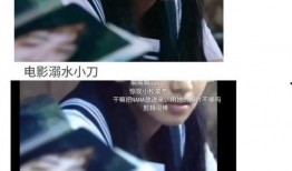 娱乐圈吃瓜爽文合集,揭秘明星幕后真相，吃瓜爽文合集大放送