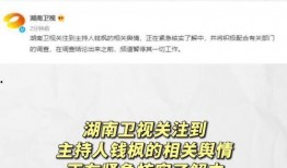 娱乐吃瓜开场白,揭秘明星们的“吃瓜”时刻