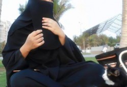 娱乐吃瓜君发生了什么,近期娱乐圈大事件幕后真相