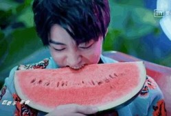 娱乐吃瓜君王俊凯,娱乐吃瓜界的“瓜王”传奇