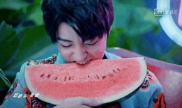 娱乐吃瓜君王俊凯,娱乐吃瓜界的“瓜王”传奇