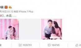 娱乐圈中吃瓜群众是什么,娱乐圈“吃瓜群众”的狂欢盛宴