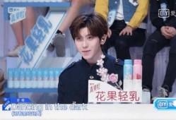 杨西的娱乐吃瓜大会,揭秘娱乐圈幕后故事与热点事件