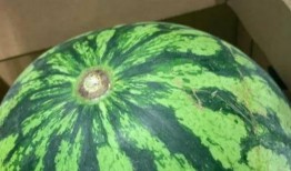 娱乐吃瓜真的假的