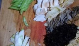 娱乐吃瓜菌,吃瓜菌带你探秘明星幕后故事