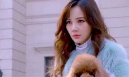 娱乐吃瓜直播讲故事是真的吗,娱乐故事背后的真实与虚构