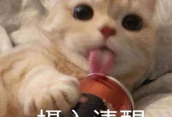 娱乐吃瓜9个段子,揭秘明星幕后故事