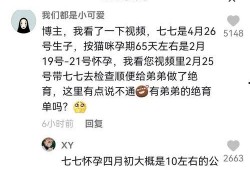 娱乐吃瓜解说博主是谁,揭秘博主背后的故事