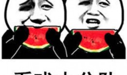 娱乐每日吃瓜,揭秘明星幕后故事