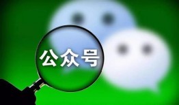 吃瓜群众娱乐微信公众号,吃瓜群众带你探秘明星生活