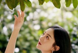 娱乐圈吃瓜50条,揭秘明星幕后故事