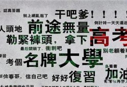 娱乐吃瓜的卖点和特点