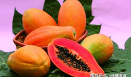 大美娱乐吃瓜,揭秘娱乐圈最新吃瓜事件