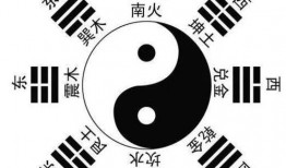 娱乐吃瓜八卦背景图聊天,揭秘明星幕后故事，吃瓜群众狂欢时刻