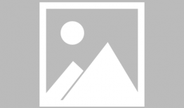 娱乐吃瓜酱啃宠,揭秘娱乐圈宠粉秘籍